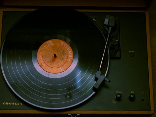 black and brown vinyl record player