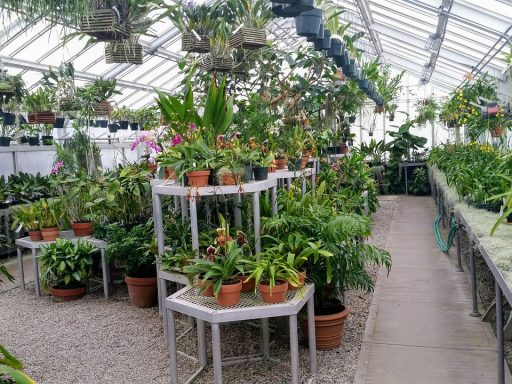Een lichte glazen serre aangebouwd aan een woning met uitzicht op de tuin