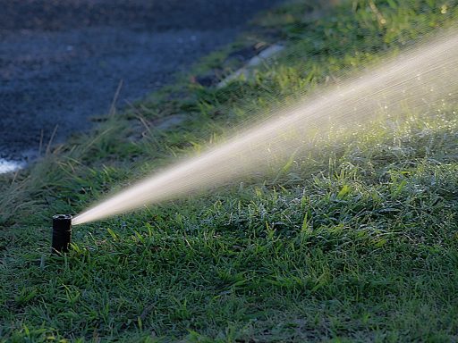 Een kleurrijke zomertuin met bloeiende borders en potten op een zonnig terras