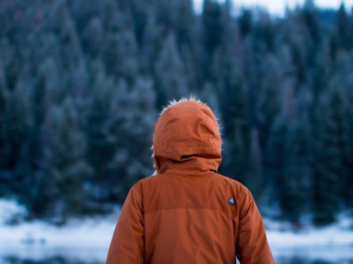 shallow focus photography of person facing trees