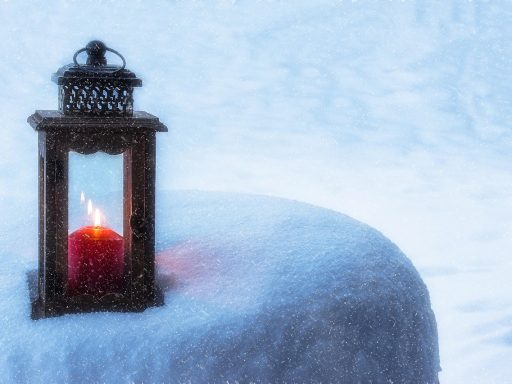 Winterse tuin met houten kist vol wintergroenen, dennenappels en brandende lantaarns in de avondschemering