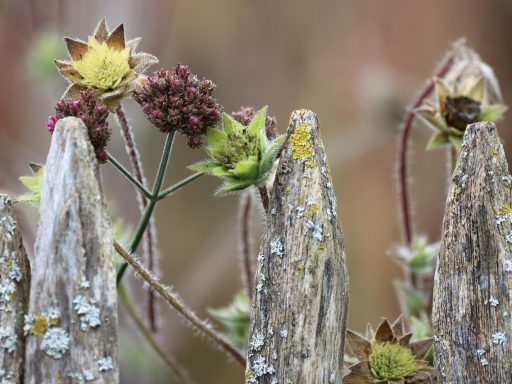 Tuinmeubelen netjes afgedekt en opgeslagen in een schuur in de herfst